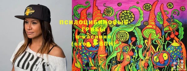 мефедрон Богородицк