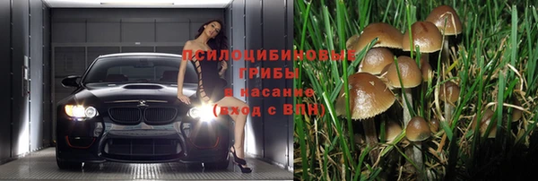 наркотики Приозерск