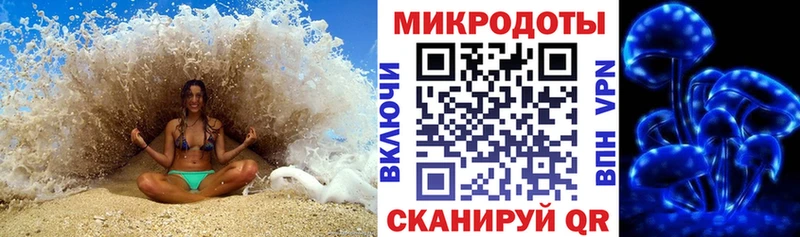 Галлюциногенные грибы мухоморы  где найти   Наволоки 