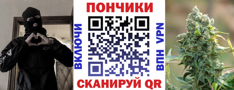 купить наркотики сайты  Наволоки  маркетплейс Telegram  Каннабис сатива 